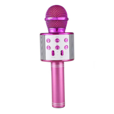 mikrofono kai karaoke asyrmato forito roz